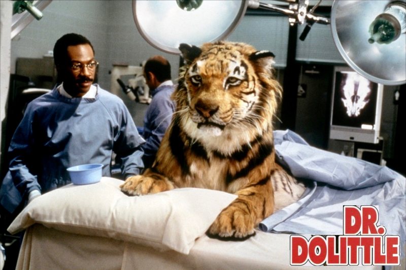 Dr. Dolittle